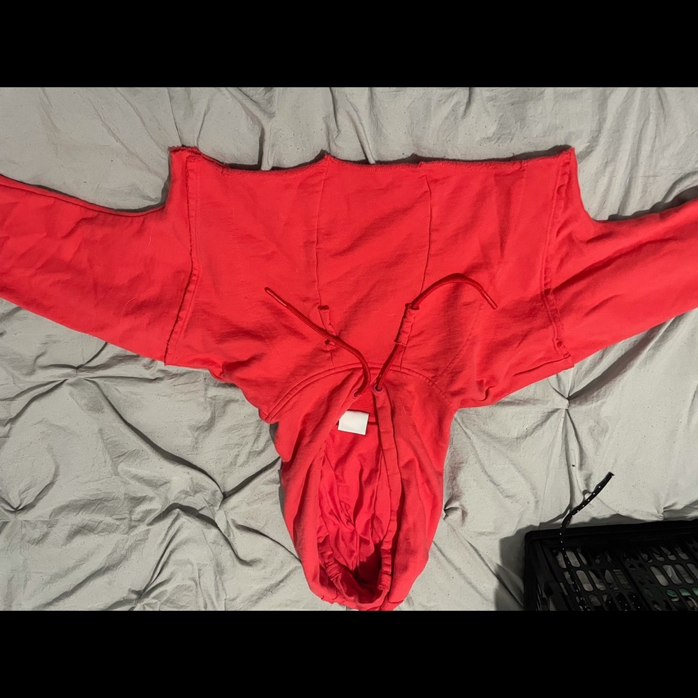 Brand new gym shark cropped hoodie